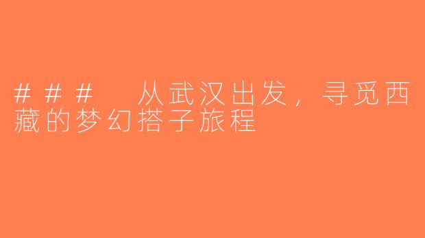 ### 从武汉出发，寻觅西藏的梦幻搭子旅程