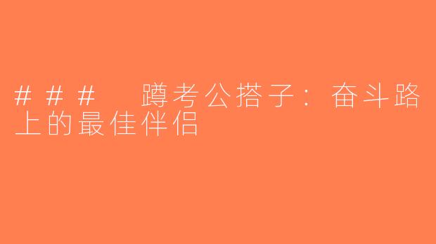 ### 蹲考公搭子：奋斗路上的最佳伴侣