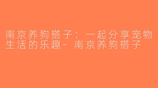 南京养狗搭子：一起分享宠物生活的乐趣-南京养狗搭子