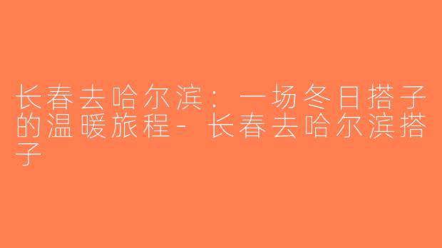 长春去哈尔滨：一场冬日搭子的温暖旅程-长春去哈尔滨搭子