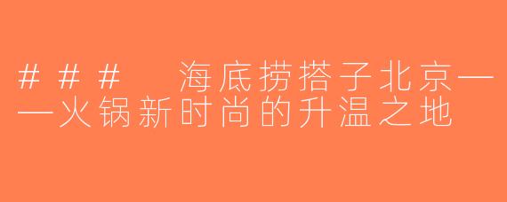 ### 海底捞搭子北京——火锅新时尚的升温之地