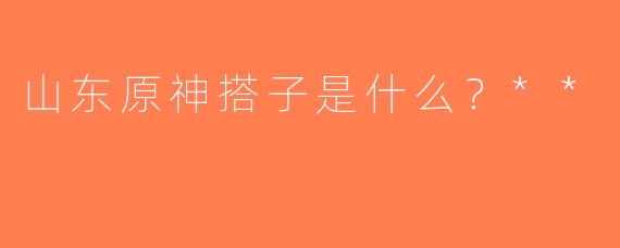 山东原神搭子是什么？**