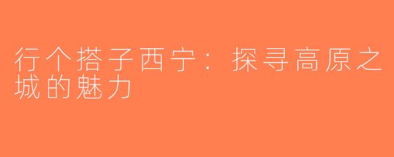 行个搭子西宁：探寻高原之城的魅力