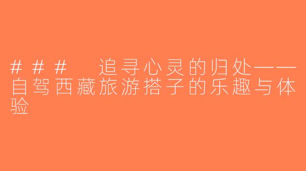### 追寻心灵的归处——自驾西藏旅游搭子的乐趣与体验