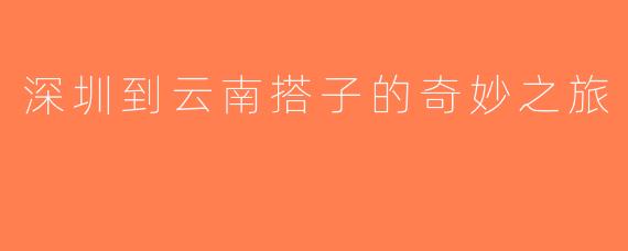 深圳到云南搭子的奇妙之旅