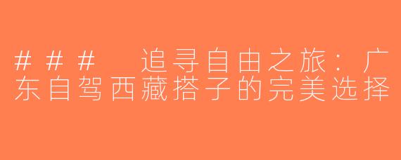 ### 追寻自由之旅：广东自驾西藏搭子的完美选择