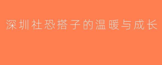 深圳社恐搭子的温暖与成长