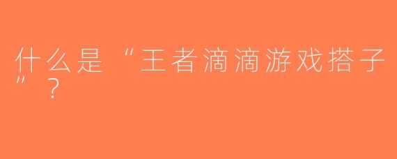 什么是“王者滴滴游戏搭子”？  