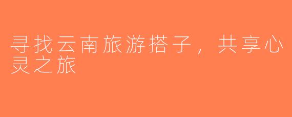 寻找云南旅游搭子，共享心灵之旅