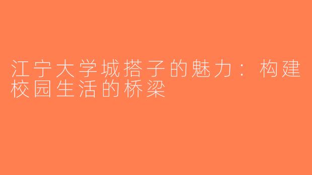 江宁大学城搭子的魅力：构建校园生活的桥梁