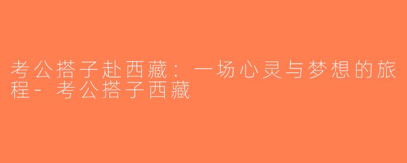 考公搭子赴西藏：一场心灵与梦想的旅程-考公搭子西藏