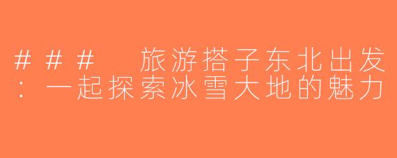 ### 旅游搭子东北出发：一起探索冰雪大地的魅力