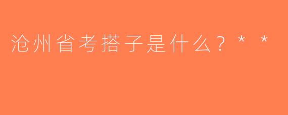 沧州省考搭子是什么？**
