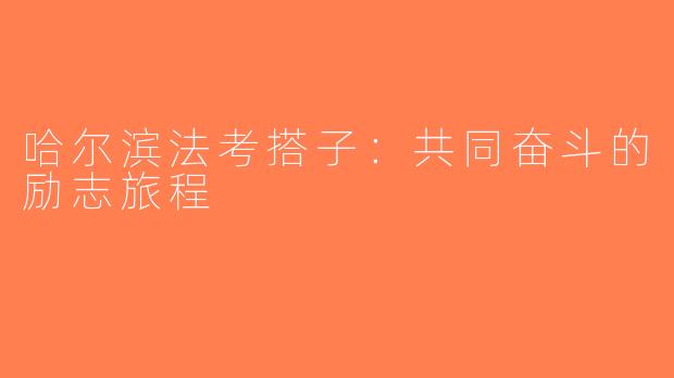 哈尔滨法考搭子：共同奋斗的励志旅程