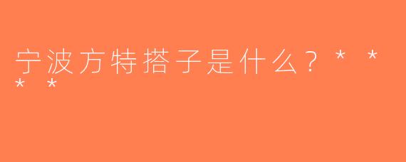 宁波方特搭子是什么？****