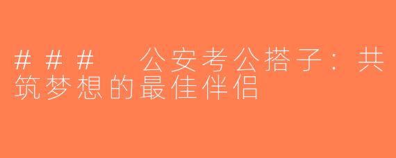 ### 公安考公搭子：共筑梦想的最佳伴侣