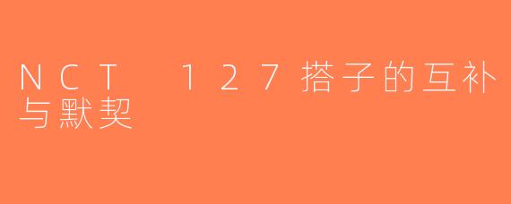 NCT 127搭子的互补与默契