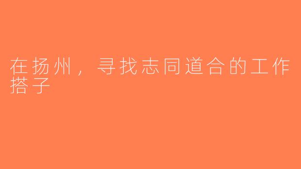 在扬州，寻找志同道合的工作搭子