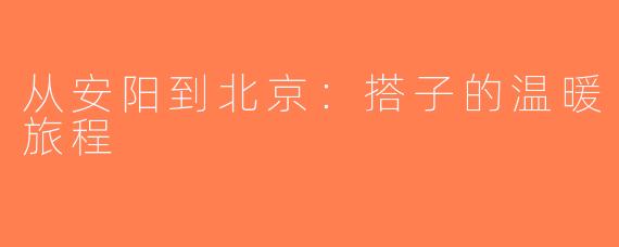 从安阳到北京：搭子的温暖旅程