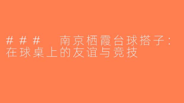 ### 南京栖霞台球搭子：在球桌上的友谊与竞技