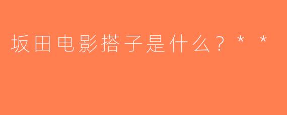 坂田电影搭子是什么？**