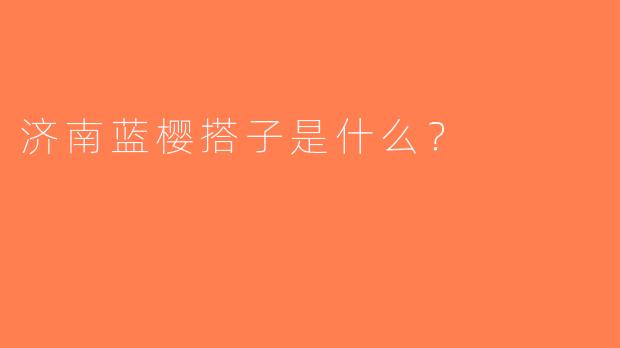 济南蓝樱搭子是什么？