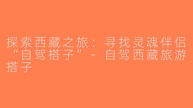 探索西藏之旅：寻找灵魂伴侣“自驾搭子”-自驾西藏旅游搭子
