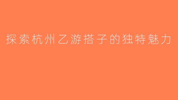 探索杭州乙游搭子的独特魅力