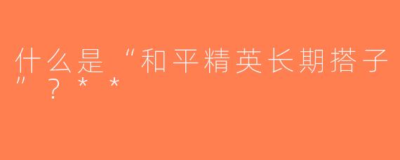 什么是“和平精英长期搭子”？**