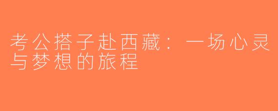 考公搭子赴西藏：一场心灵与梦想的旅程