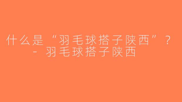 什么是“羽毛球搭子陕西”？  -羽毛球搭子陕西