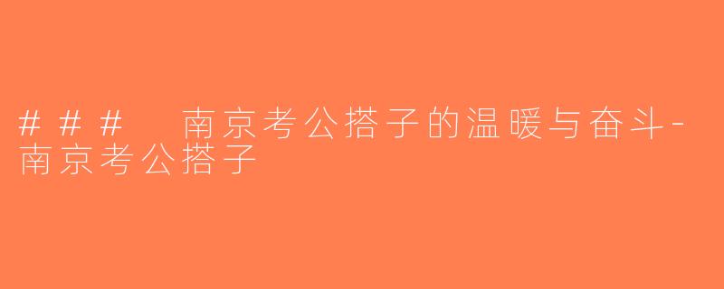 ### 南京考公搭子的温暖与奋斗-南京考公搭子