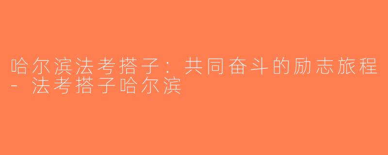 哈尔滨法考搭子：共同奋斗的励志旅程-法考搭子哈尔滨