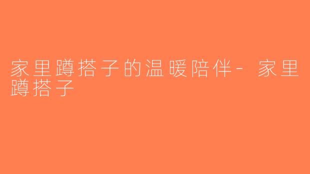 家里蹲搭子的温暖陪伴-家里蹲搭子