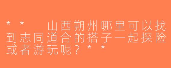 ** 山西朔州哪里可以找到志同道合的搭子一起探险或者游玩呢？**