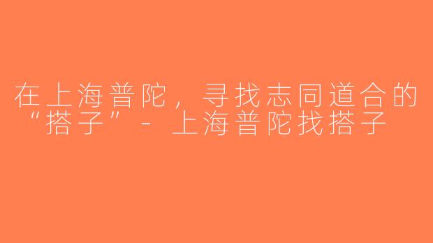 在上海普陀，寻找志同道合的“搭子”-上海普陀找搭子