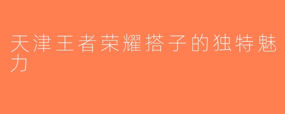 天津王者荣耀搭子的独特魅力