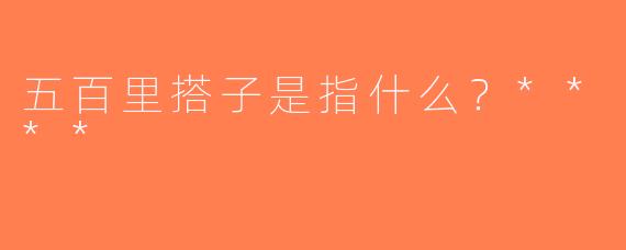 五百里搭子是指什么？****