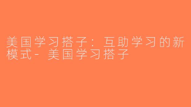 美国学习搭子：互助学习的新模式-美国学习搭子