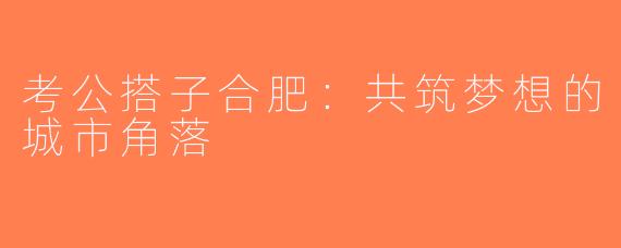考公搭子合肥：共筑梦想的城市角落