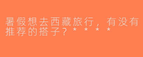 暑假想去西藏旅行，有没有推荐的搭子？****