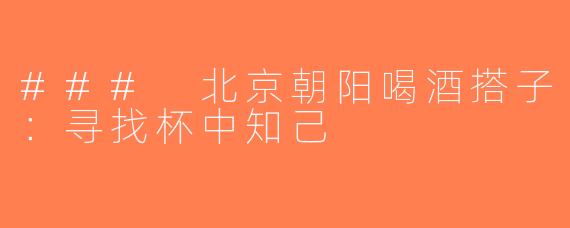 ### 北京朝阳喝酒搭子：寻找杯中知己