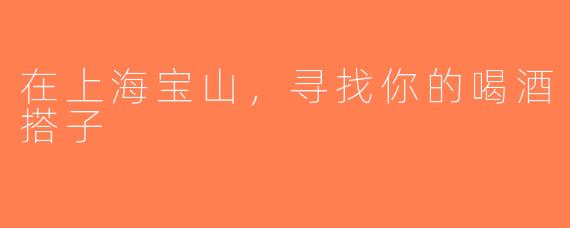 在上海宝山，寻找你的喝酒搭子