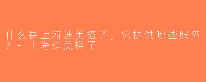 什么是上海迪美搭子，它提供哪些服务？-上海迪美搭子