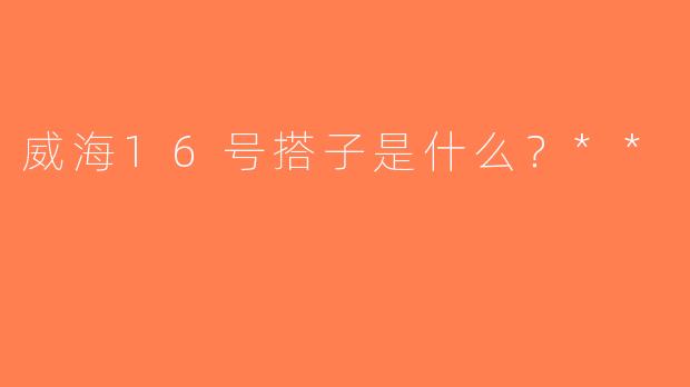 威海16号搭子是什么？**