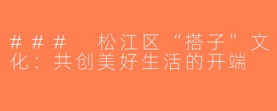 ### 松江区“搭子”文化：共创美好生活的开端