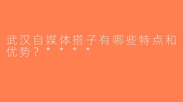 武汉自媒体搭子有哪些特点和优势？****