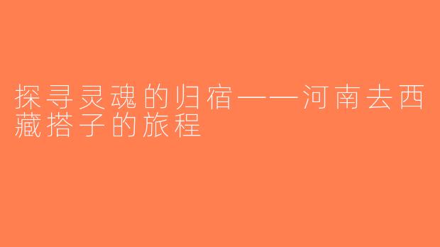 探寻灵魂的归宿——河南去西藏搭子的旅程