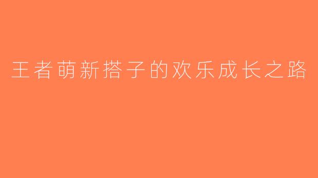 王者萌新搭子的欢乐成长之路