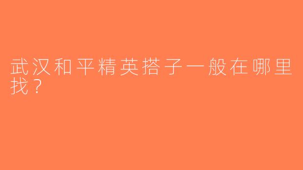 武汉和平精英搭子一般在哪里找？